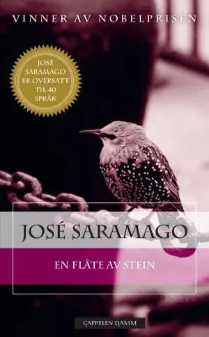 Omslag: "En flåte av stein" av José Saramago