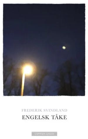 Omslag: "Engelsk tåke : roman" av Frederik Svindland