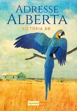 Omslag: "Adresse Alberta" av Victoria Bø