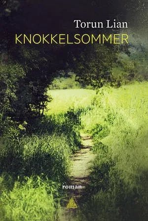Omslag: "Knokkelsommer : roman" av Torun Lian
